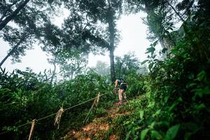 BIB: 
                            <button type="button" onclick="openModal(26203021)" class="btn btn-primary btn-sm float-right btn-popup" data-toggle="modal" data-target=".modal-high-quality">
                        <i class="fas fa-shopping-cart"></i> Add to Cart
                    </button>
                                            <button type="button" onclick="isThisMe(26203021, true)" class="btn btn-success btn-sm float-right btn-popup btn-isme hidden" data-toggle="tooltip" data-placement="bottom" title="นี่คือรูปของคุณใช่ไหม คลิกที่นี่เพื่อเอาเข้าอัลบั้ม">
                        <i class="fas fa-plus"></i> Add to album
                    </button>
                    <button type="button" onclick="isThisMe(26203021, false)" class="btn btn-warning btn-sm float-right btn-popup btn-isnotme hidden">
                        <i class="fas fa-ban"></i> Remove from album
                    </button>